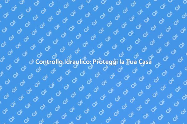 Ispezione Idraulica: Un Passo Fondamentale