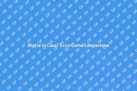 Disinfestazione Blatte: Soluzione Efficace