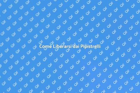 Rimozione Pipistrelli: Guida Completa