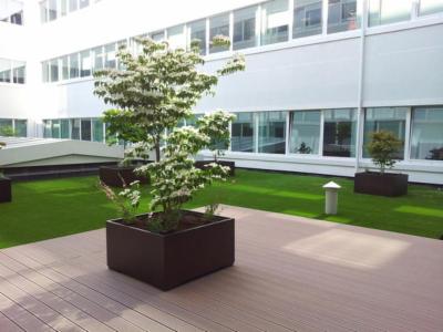 Habitat Natura  - Foto 7
