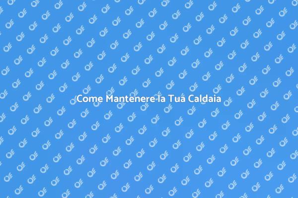Guida alla Manutenzione della Caldaia