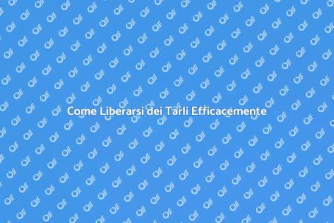 Trattamento Efficace contro i Tarli