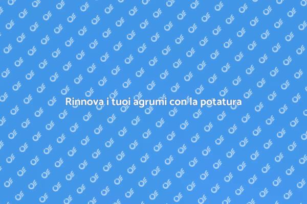 Potatura agrumi: tecniche e vantaggi