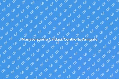 Controllo Annuale Caldaia a Basamento