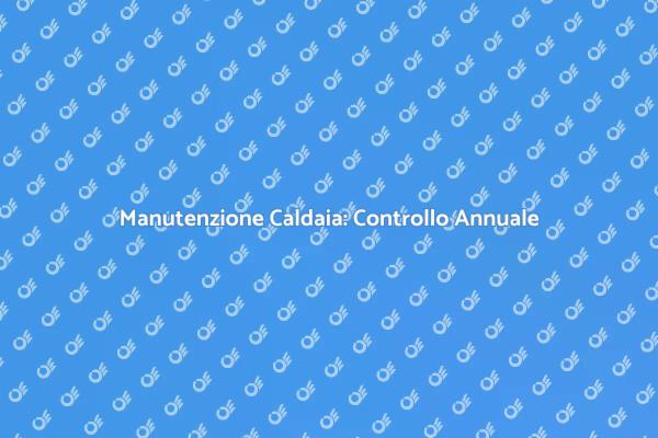 Perché controllare la caldaia a basamento?