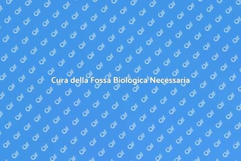 Manutenzione Fossa Biologica Essenziale