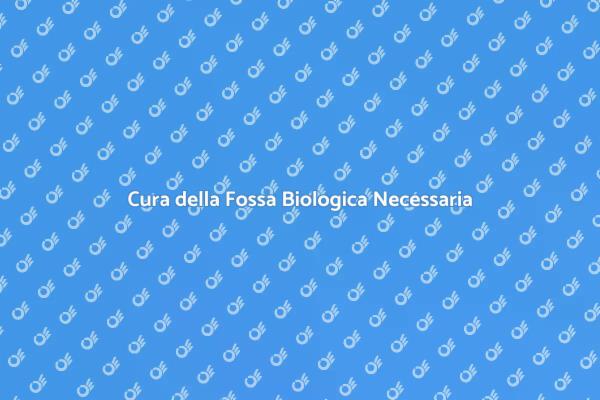 Manutenzione Fossa: Guida Essenziale