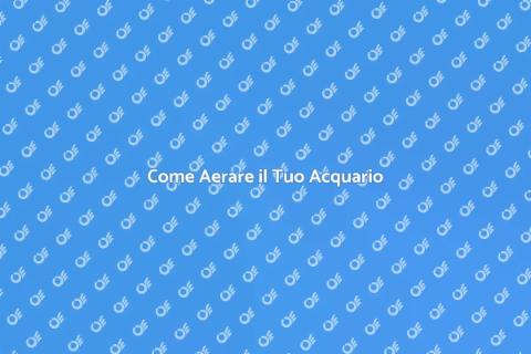 Aerazione Ottimale per il Tuo Acquario