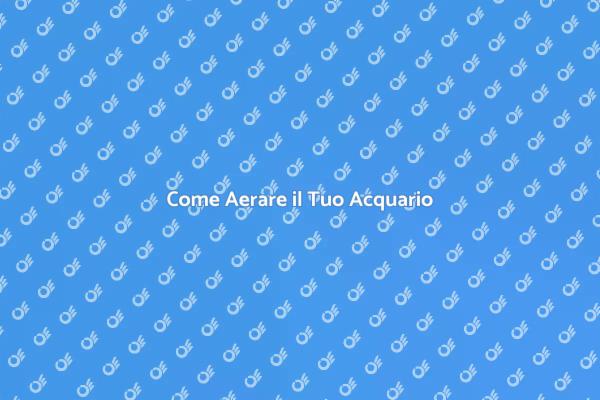 Ottimizza l'Aerazione del Tuo Acquario