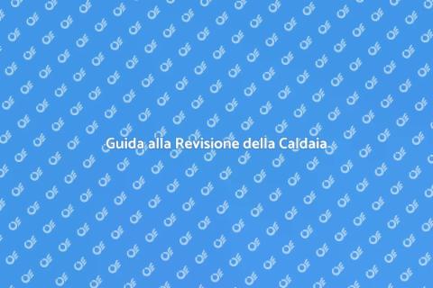 Revisione Caldaia a Basamento Essenziale