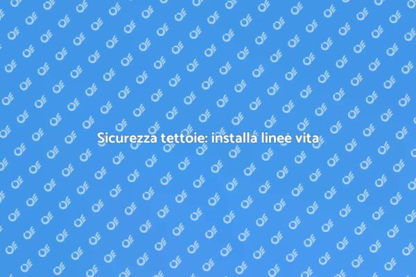 Linee vita per tettoie: sicurezza al primo posto
