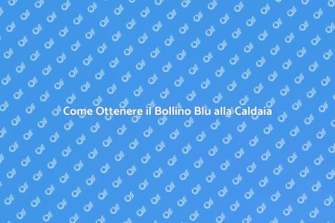 Bollino Blu Caldaia: Guida Completa