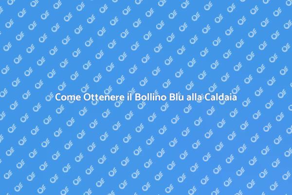 Ottieni il Bollino Blu per la Caldaia!