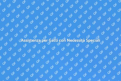 Cat Sitter per Gatti Speciali