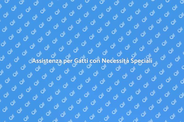 Cat Sitter: Cura per Gatti Speciali