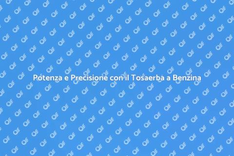 Tosaerba a Benzina per Prati Grandi