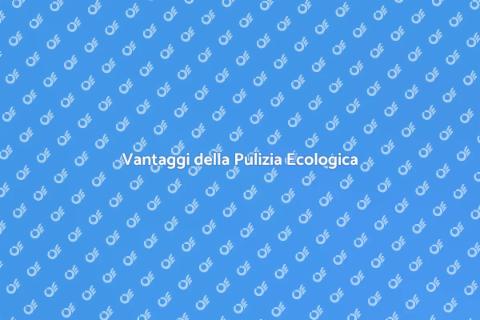 Pulizia Ecologica dei Tappeti