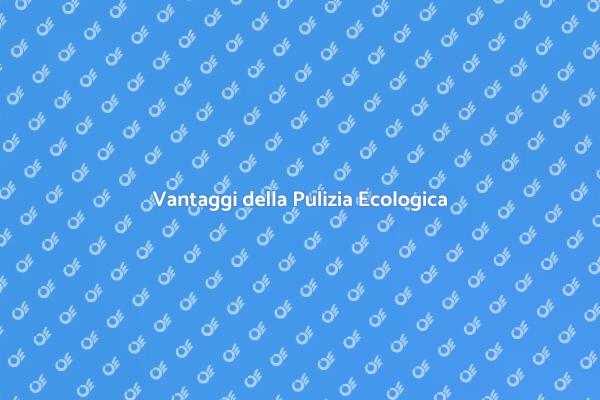 Tappeti Puliti e Sostenibili
