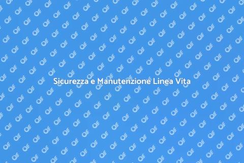 Manutenzione Linea Vita Retrattile