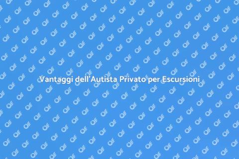 Servizio di Autista Privato per Escursioni