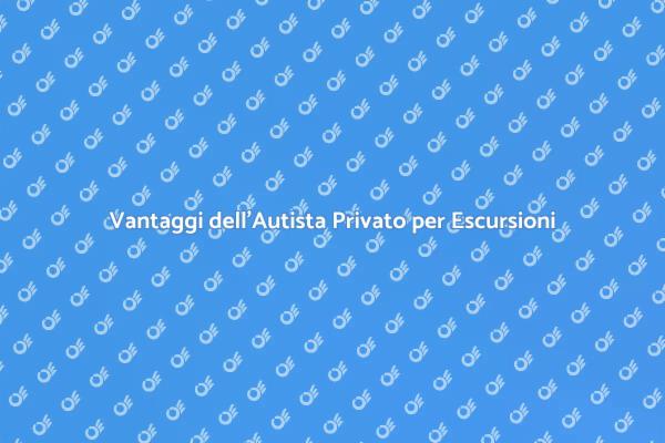 Autista Privato: La Scelta Ideale per Viaggiare