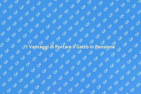 Perché Scegliere una Pensione per Gatti?