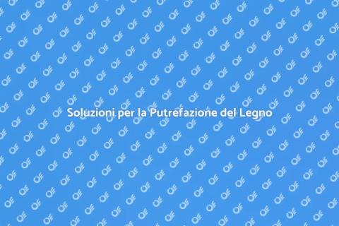 Riparazione Putrefazione del Legno