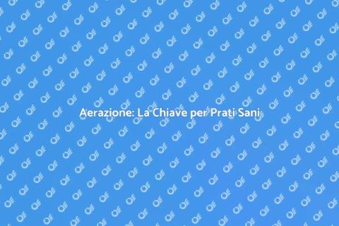 Aerare il Prato per un Giardino Sano
