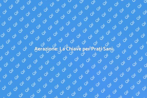 Aerazione: Segreto per Prati Rigogliosi