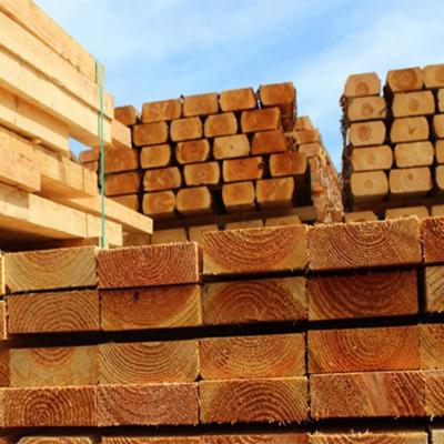 Ligure Legno  - Foto 3