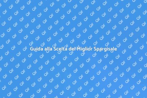 Miglior Spargisale per Superfici Stradali