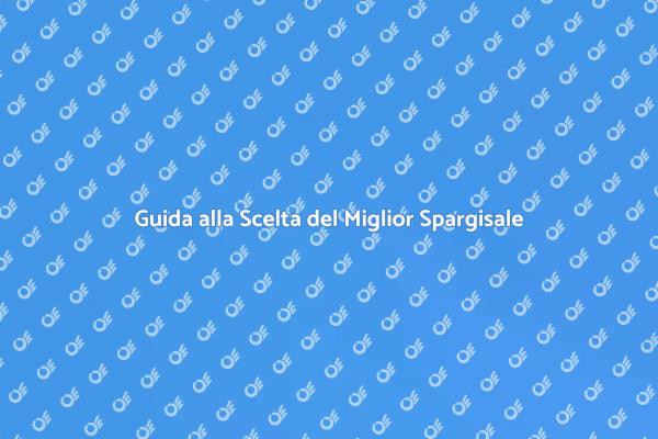 Scegli il Miglior Spargisale per Te