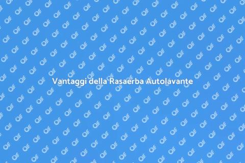 Rasaerba con Raccolta Autolavante