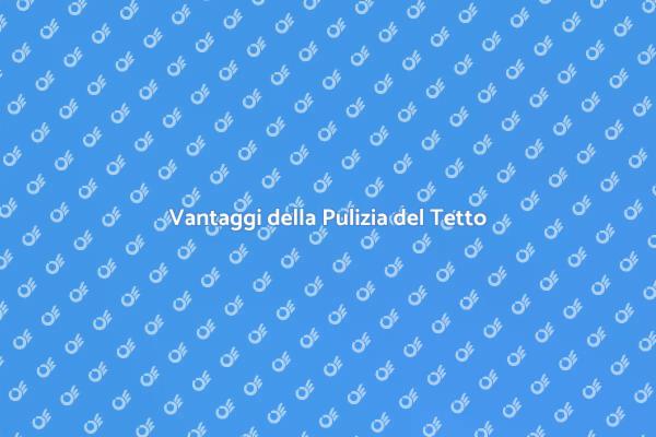 Tetto Pulito: Un Vantaggio Necessario