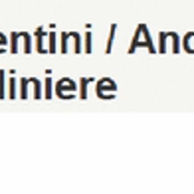 Andrea Nocentini Giardiniere