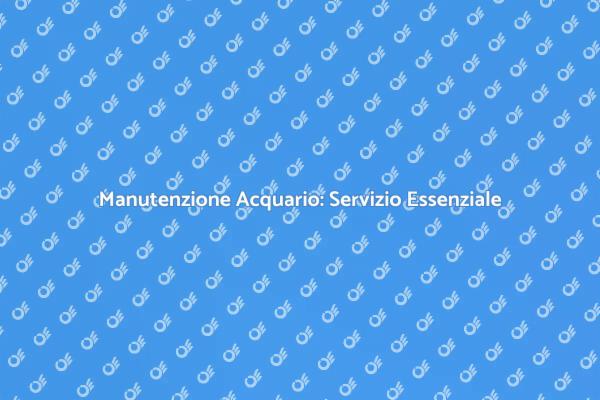 Supporto Professionale per il Tuo Acquario