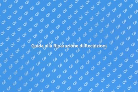 Riparare Recinzione e Pedana Facile