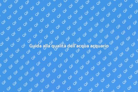 Prevenire problemi acqua acquario marino