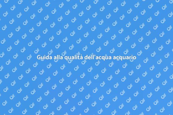 Mantenere un acquario marino sano