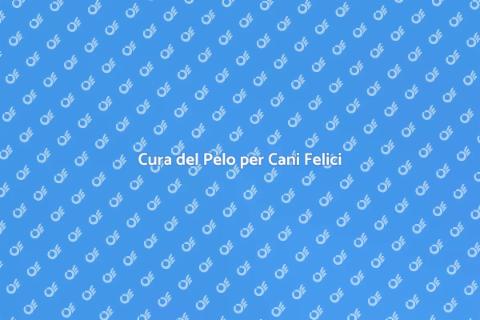 Toelettatura per Cani con Pelo Lungo