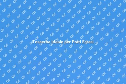 Tosaerba a Benzina per Prati Grandi