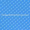 Microcemento: Design e Funzionalità