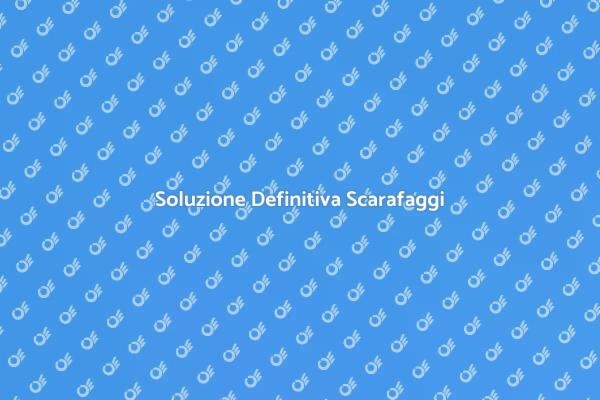 Liberati dai Scarafaggi Oggi!