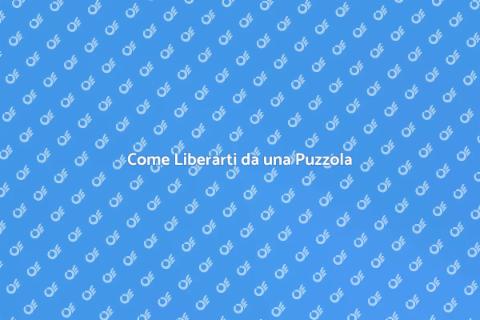 Rimuovere una Puzzola in Casa