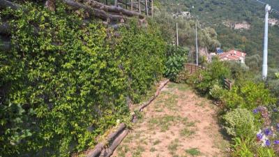 Blugarden  - Foto 7