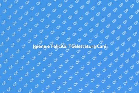 Toelettatura Completa per Cani