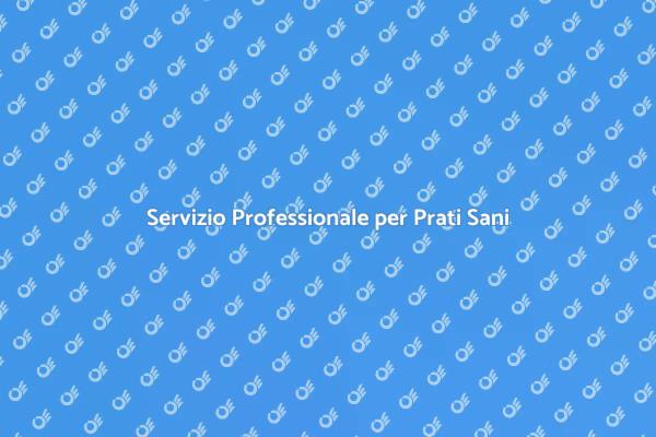 Perché Aerare il Prato è Fondamentale