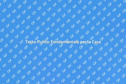 Pulizia Tetto: Salute per la Tua Casa