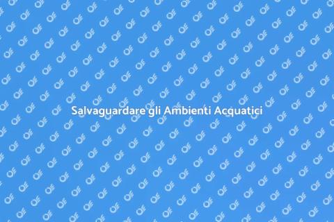 Prevenire l'Impoverimento Ambientale