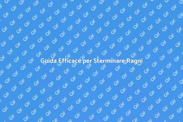 Come Eliminare i Ragni Violino in Casa